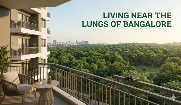 Living Near the Lungs of Bangalore: Exploring Bannerghatta National Park from Your Balcony